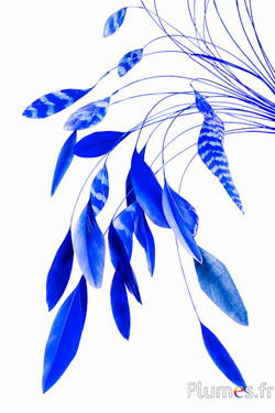 Coquetips cincillà sbiancati - 13-18 cm - blu